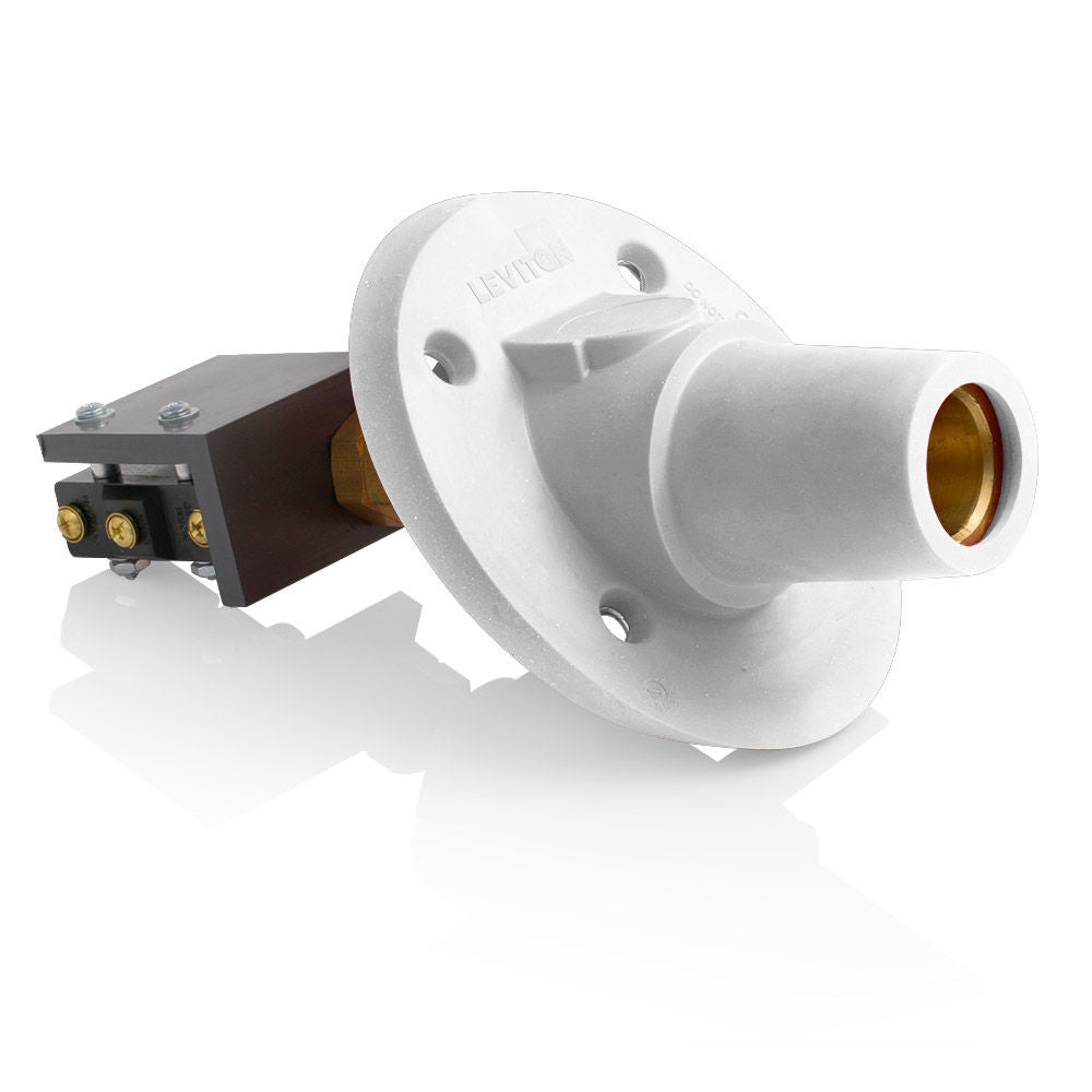 Leviton 17RSW-SW Receptacle