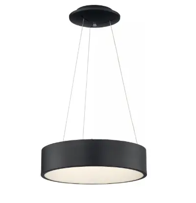 Nuvo 62-1456 Pendant Light
