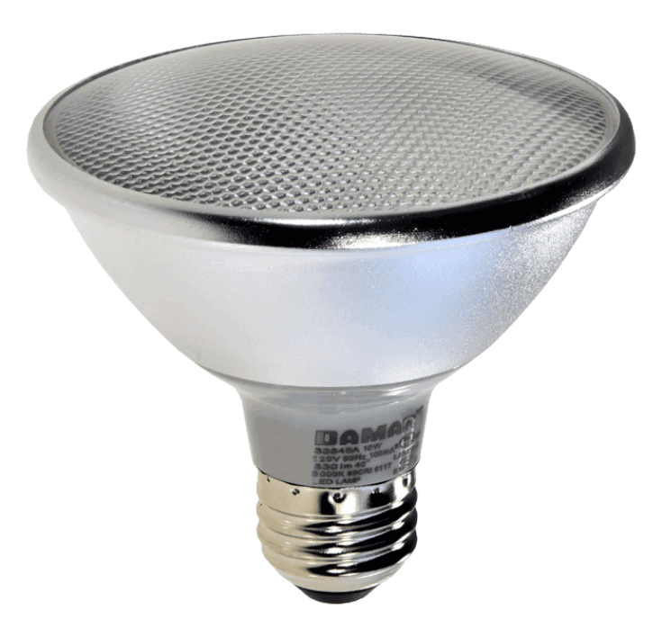 Damar 33845A LED PAR30 Bulb