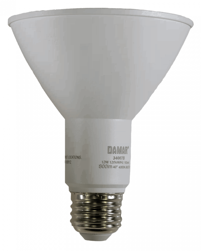 Damar 34007B LED PAR30 Bulb