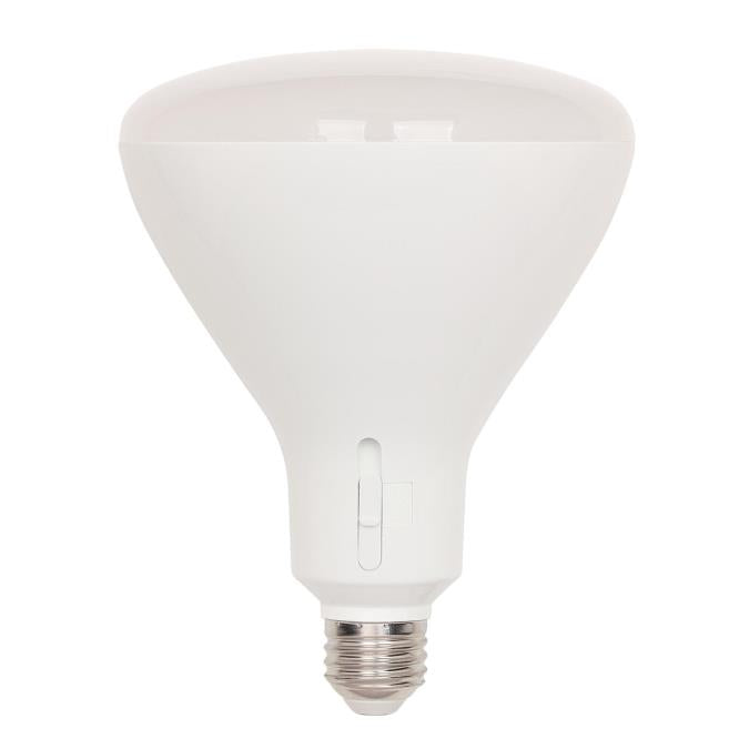 Westinghouse BR40 LED flood bulb