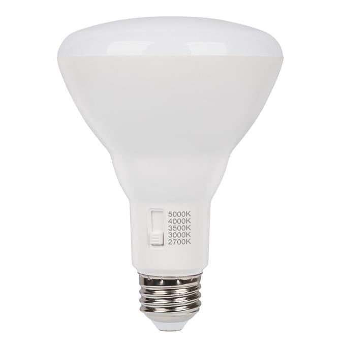 Westinghouse BR30 LED flood bulb
