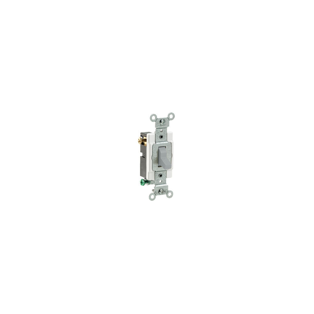 Leviton CS315-2GY Wiring Device