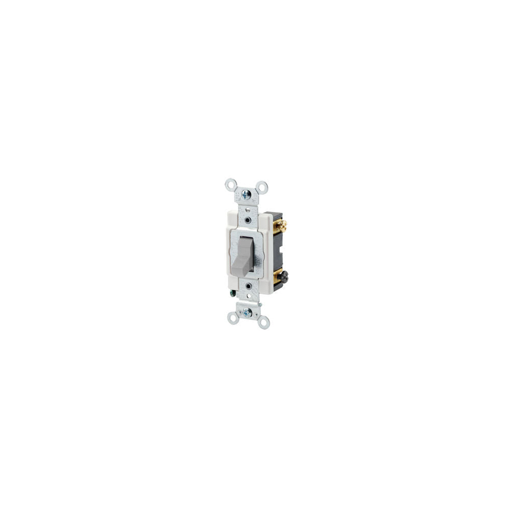 Leviton CSB2-20G Decora Device