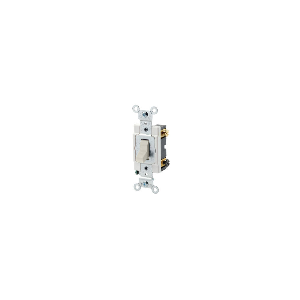 Leviton CSB2-20T Decora Device