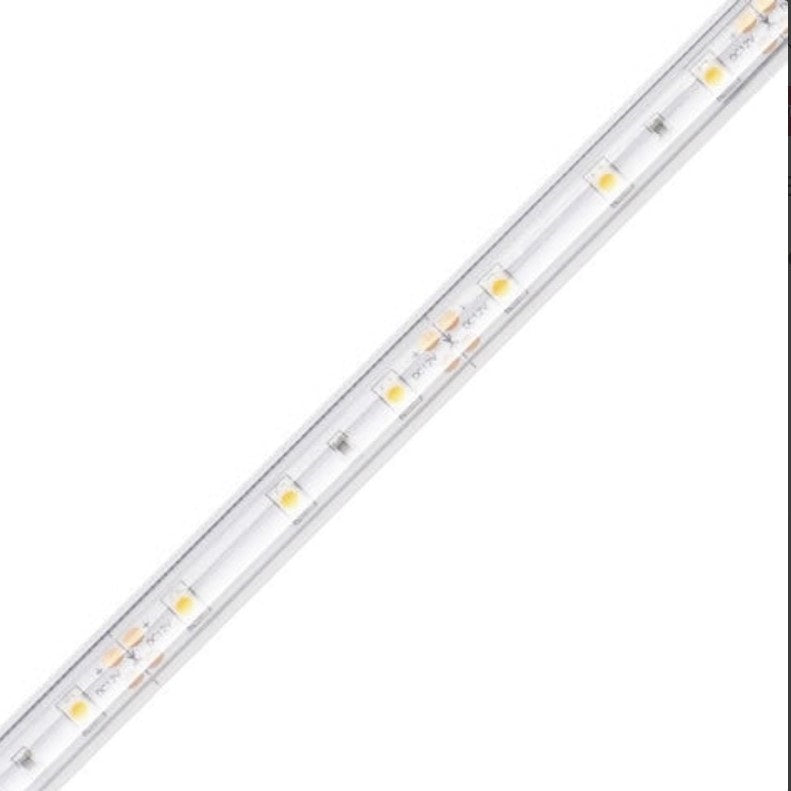 Diode LED DI-12V-BLBSC1-27-W016 LED Tape Light