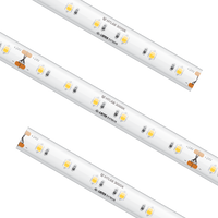 High Output Tape Light IP65 RGBW 16.4Ft - American Lighting HTL65-RGBW