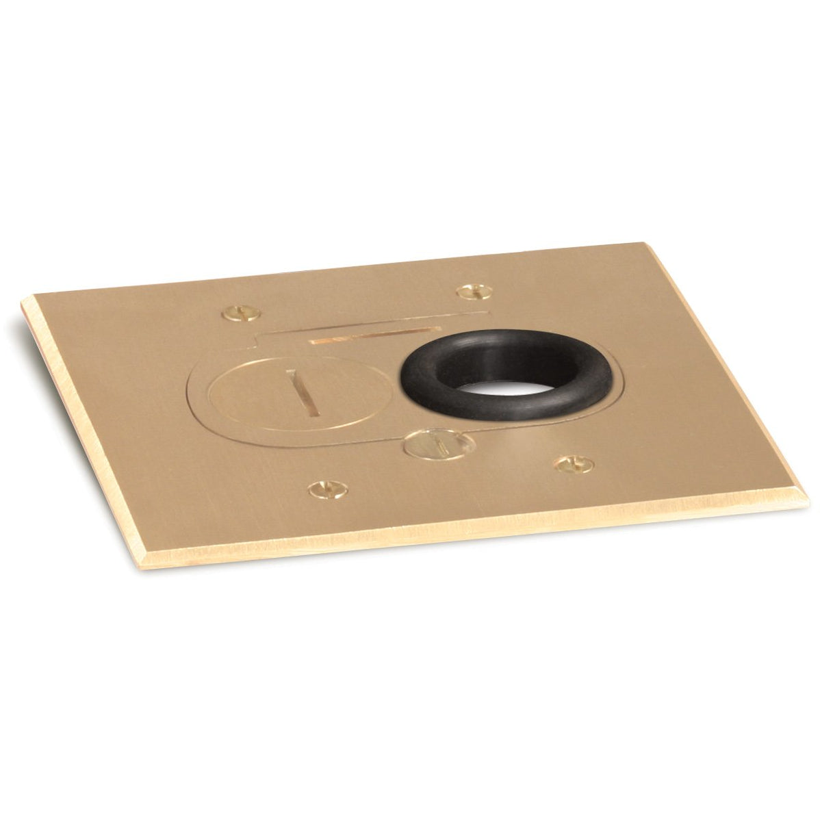 Lew Electric RCFB-1-BP Brass floor box cover