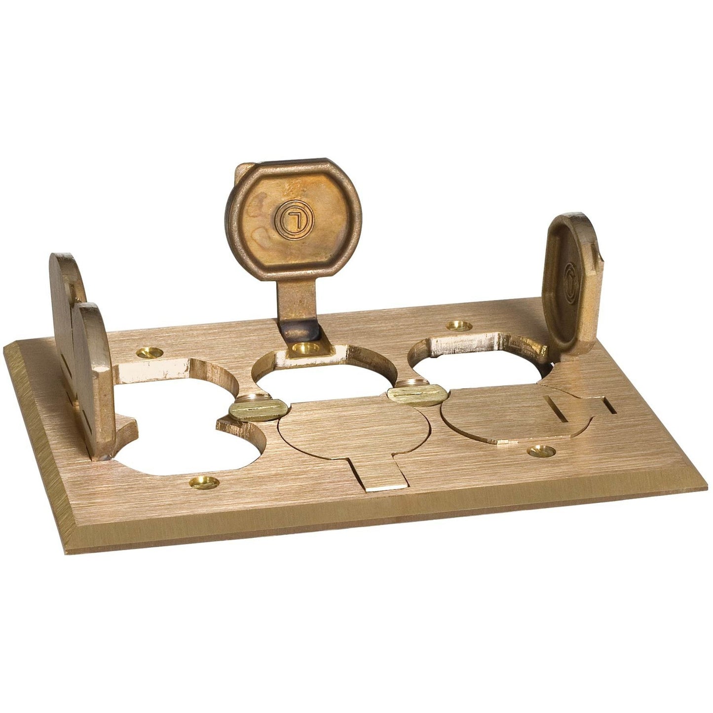 Lew Electric RRP-6-BP-LR Brass floor box cover