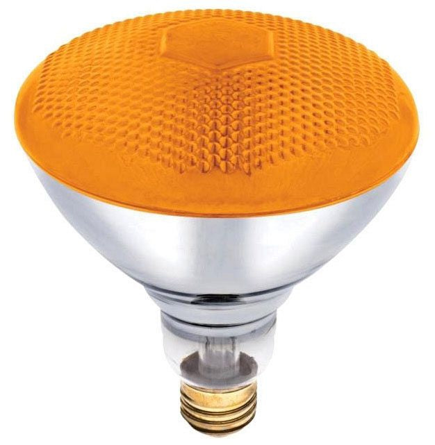 Westinghouse BR38 incandescent bulb