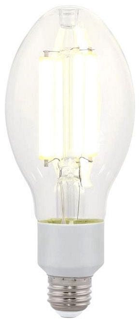 Westinghouse ED23.5 LED filament bulb