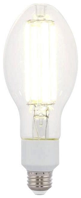 Westinghouse ED23.5 LED filament bulb