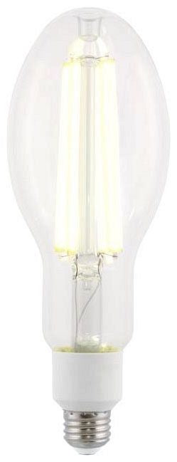 Westinghouse ED28 LED filament bulb