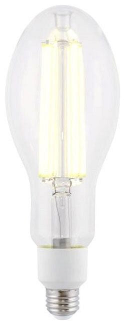 Westinghouse ED28 LED filament bulb