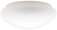 Westinghouse replacement glass shade