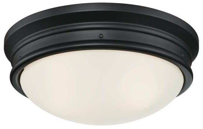 Westinghouse 2-light flush mount ceiling light, with frosted glass