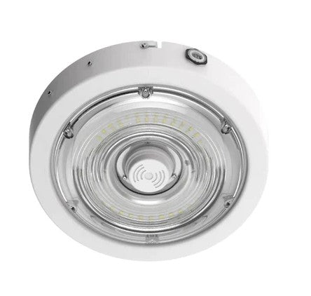 Westgate 120-277V 30W/40W/50W 135LM/W 3000K/4000K/5000K Silver LED Canopy Light CXER-30-50W-MCTP-SR