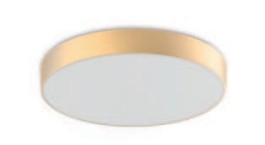 Westgate FEL-R10-TRM-GD LED flush mount light