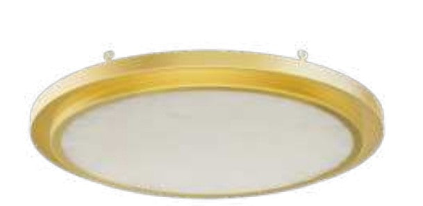 Westgate FMLB-R12-TRM-ALAB-GD LED flush mount light