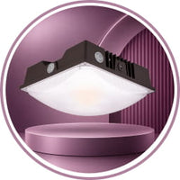 LED Canopy Lights