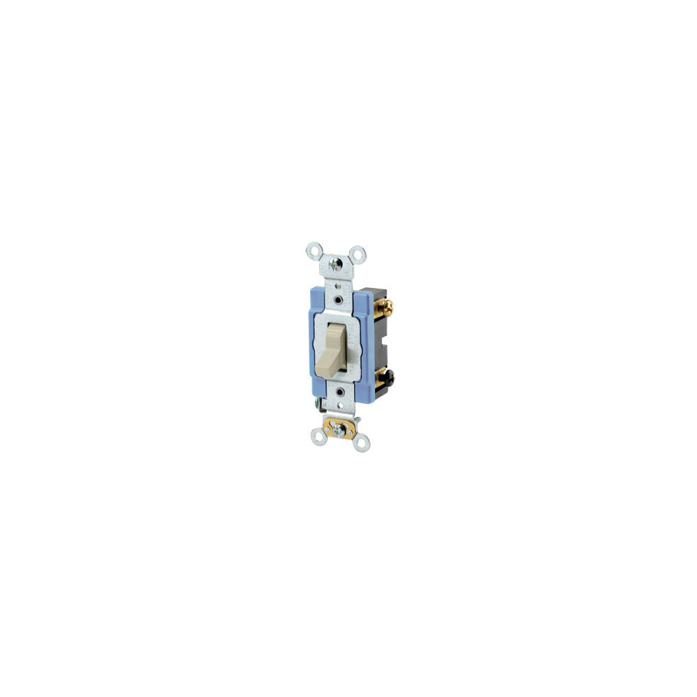 Leviton 1203-2I Receptacle