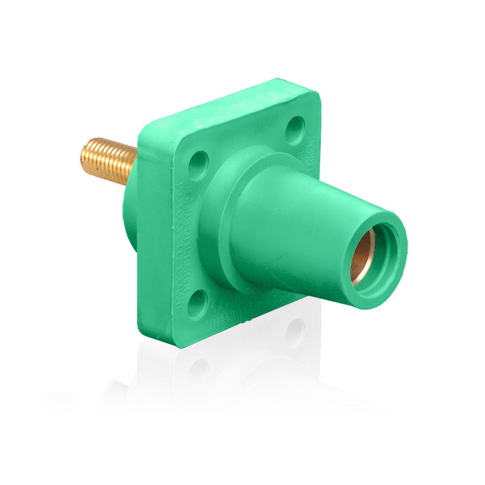 Leviton 16R24-1UG Receptacle