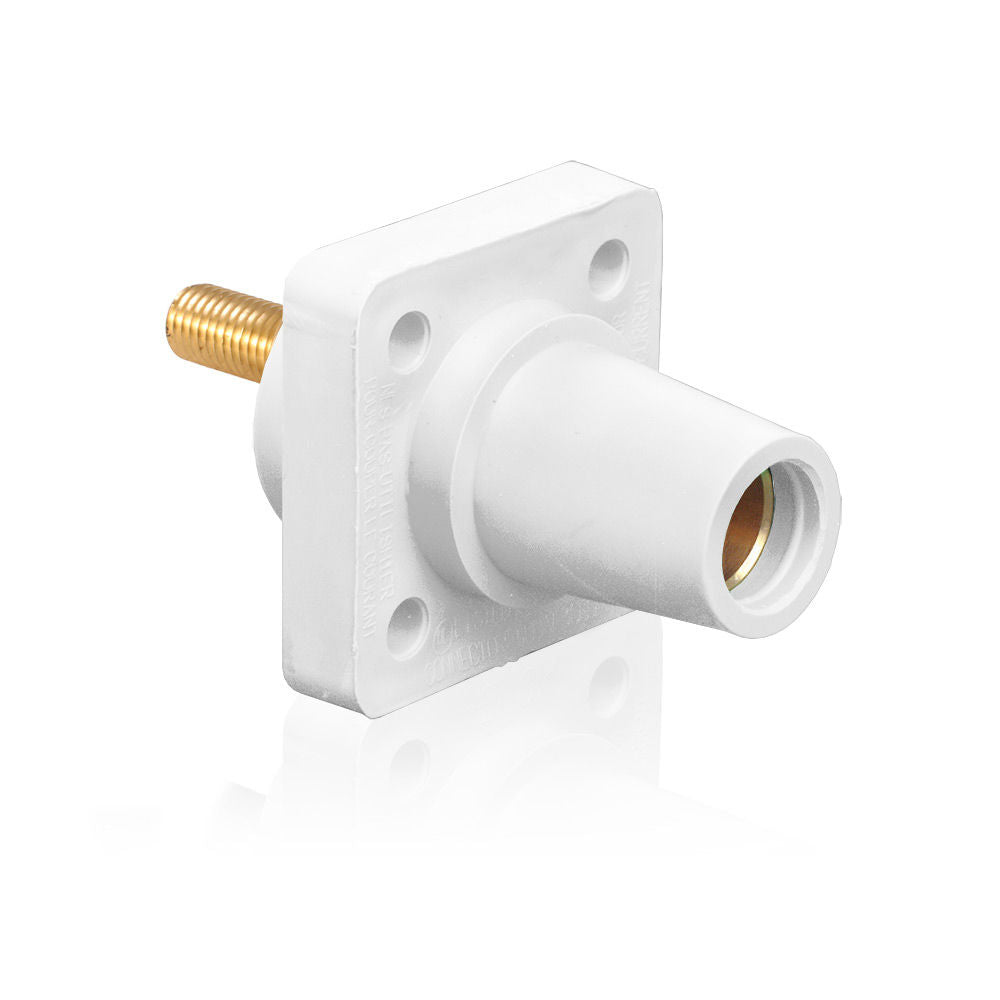 Leviton 16R24-1UW Receptacle