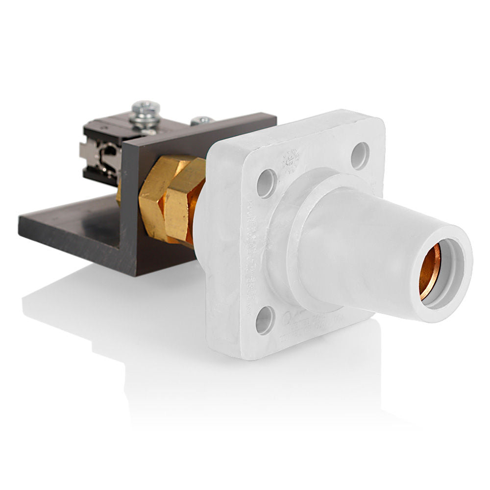 Leviton 16RSW-TUW Wiring Device