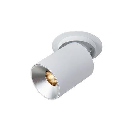 Abra 30009FM Arc directional spotlight ceiling light with customizable beam adjustment and honeycomb filter for interiors