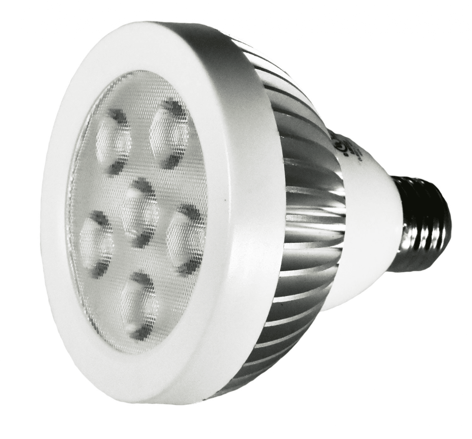 Damar 31195A LED PAR30 Bulb