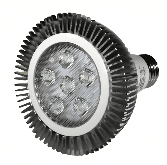 Damar 31195C LED PAR30 Bulb