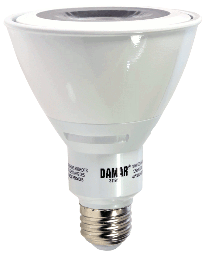 Damar 31195I LED PAR30 Bulb