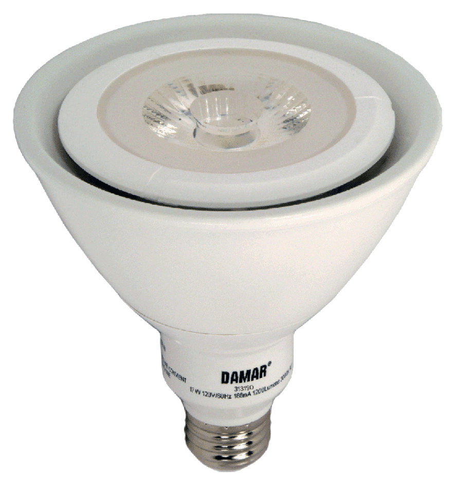 Damar 31319 LED PAR38 Bulb