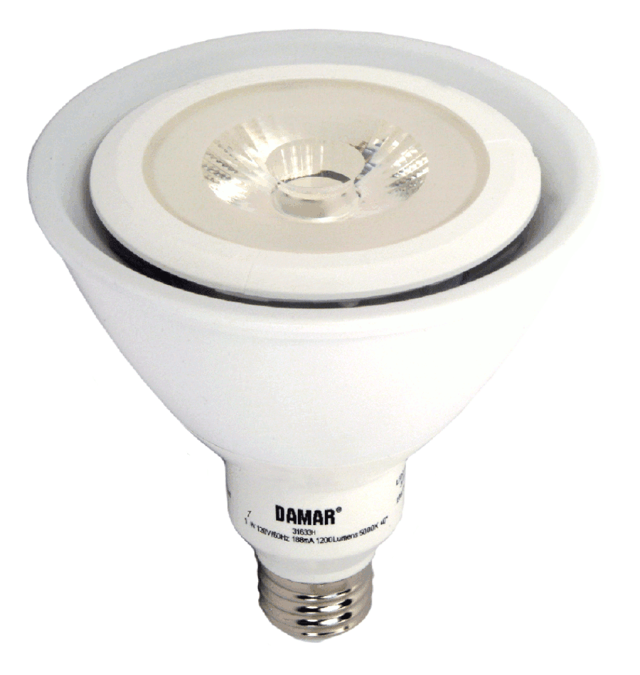 Damar 31633 LED PAR38 Bulb
