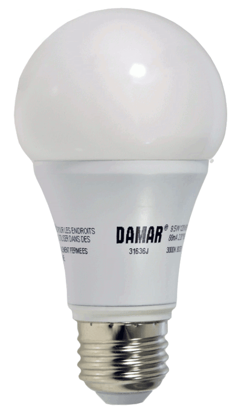 Damar 31636J LED A-Line Bulb