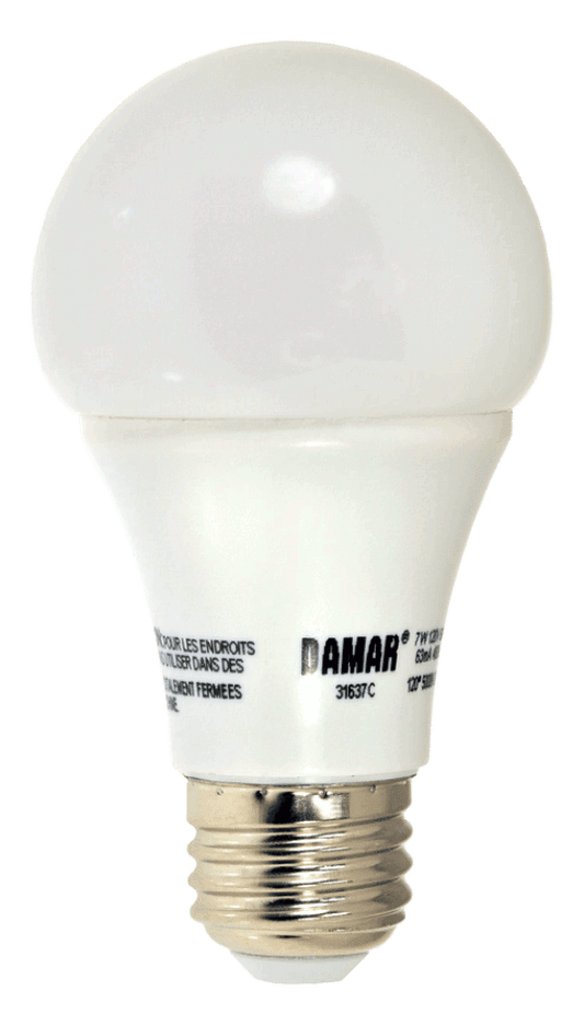 Damar 31637C LED A-Line Bulb