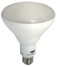 Damar 32276K LED BR Bulb