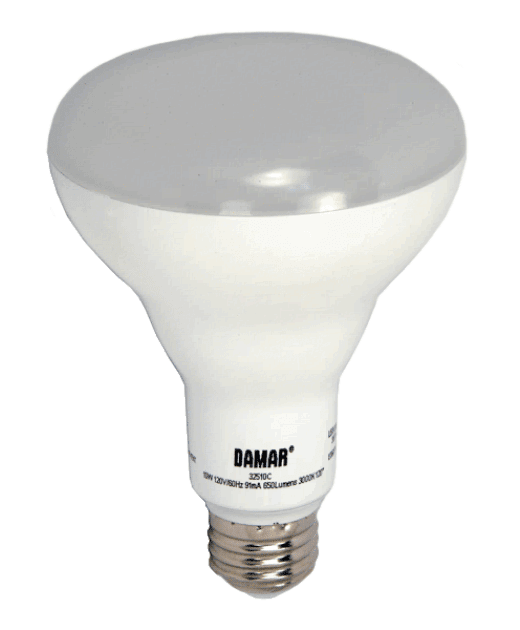 Damar 32510 LED BR Bulb