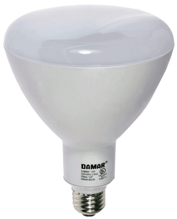 Damar 32889D LED BR Bulb