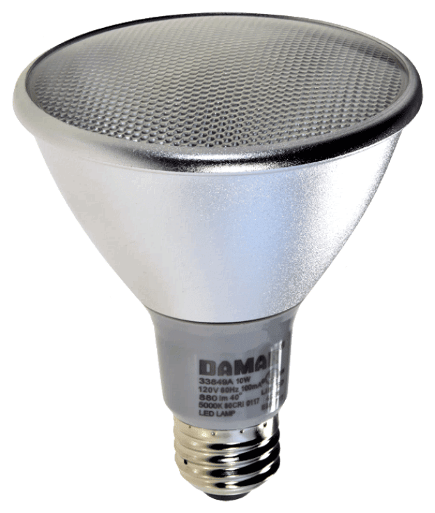 Damar 33849A LED PAR30 Bulb