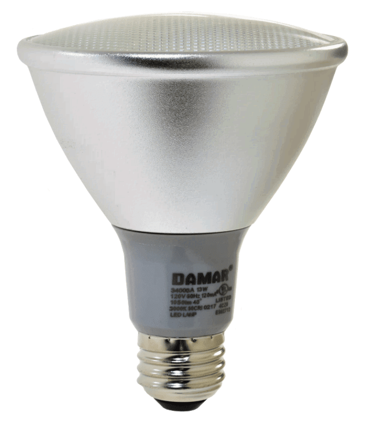 Damar 34006A LED PAR30 Bulb