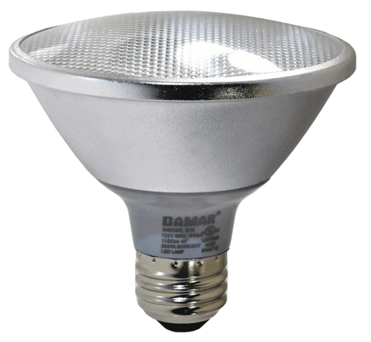 Damar 34012A LED PAR30 Bulb