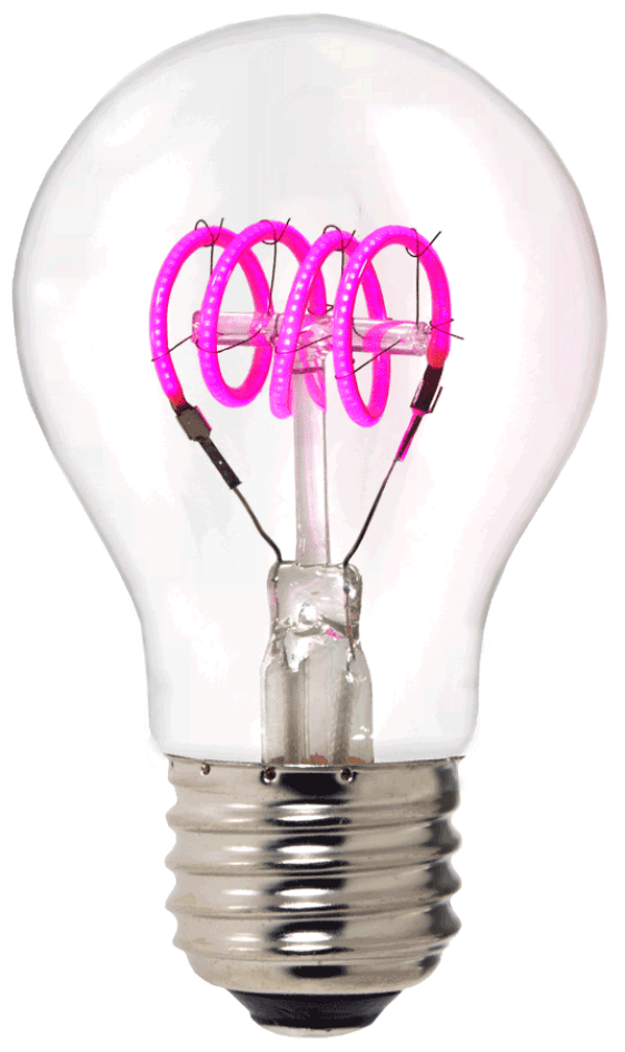 Damar 34049E LED A-Line Bulb