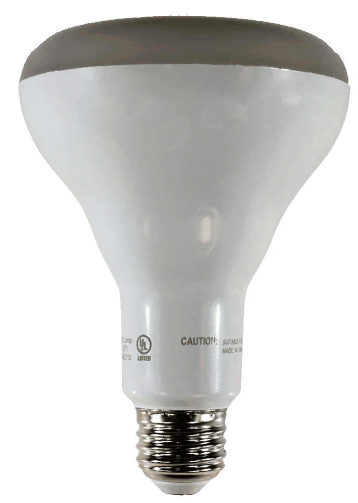 Damar 34165B LED BR Bulb