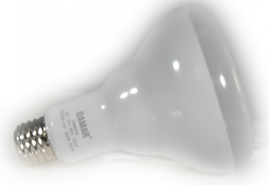Damar 34807A LED BR Bulb
