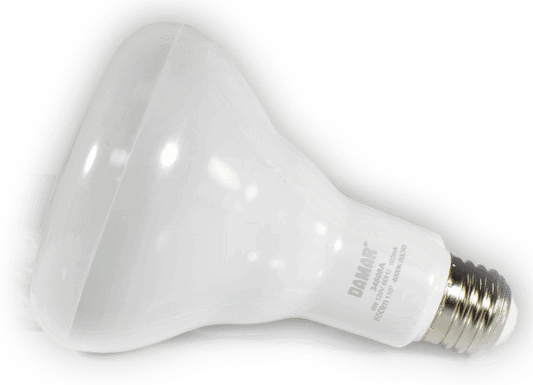 Damar 34808A LED BR Bulb
