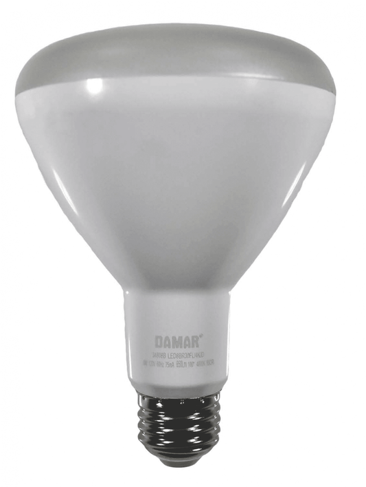 Damar 34808B LED BR Bulb