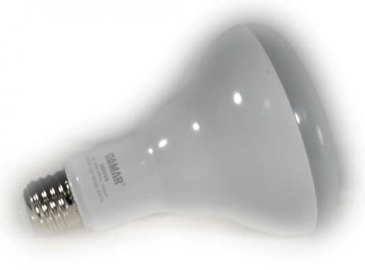 Damar 34809A LED BR Bulb