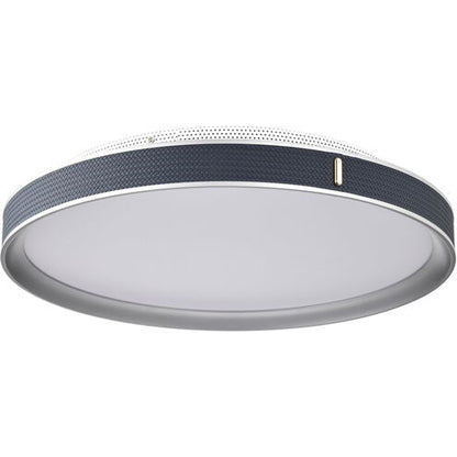 Nuvo 62-3002 Flush Mount