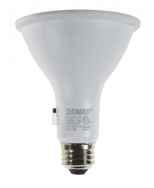Damar 37468A LED PAR30 Bulb